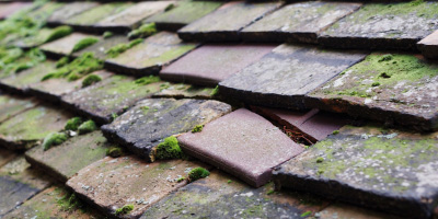 Barcombe Cross roof repair costs